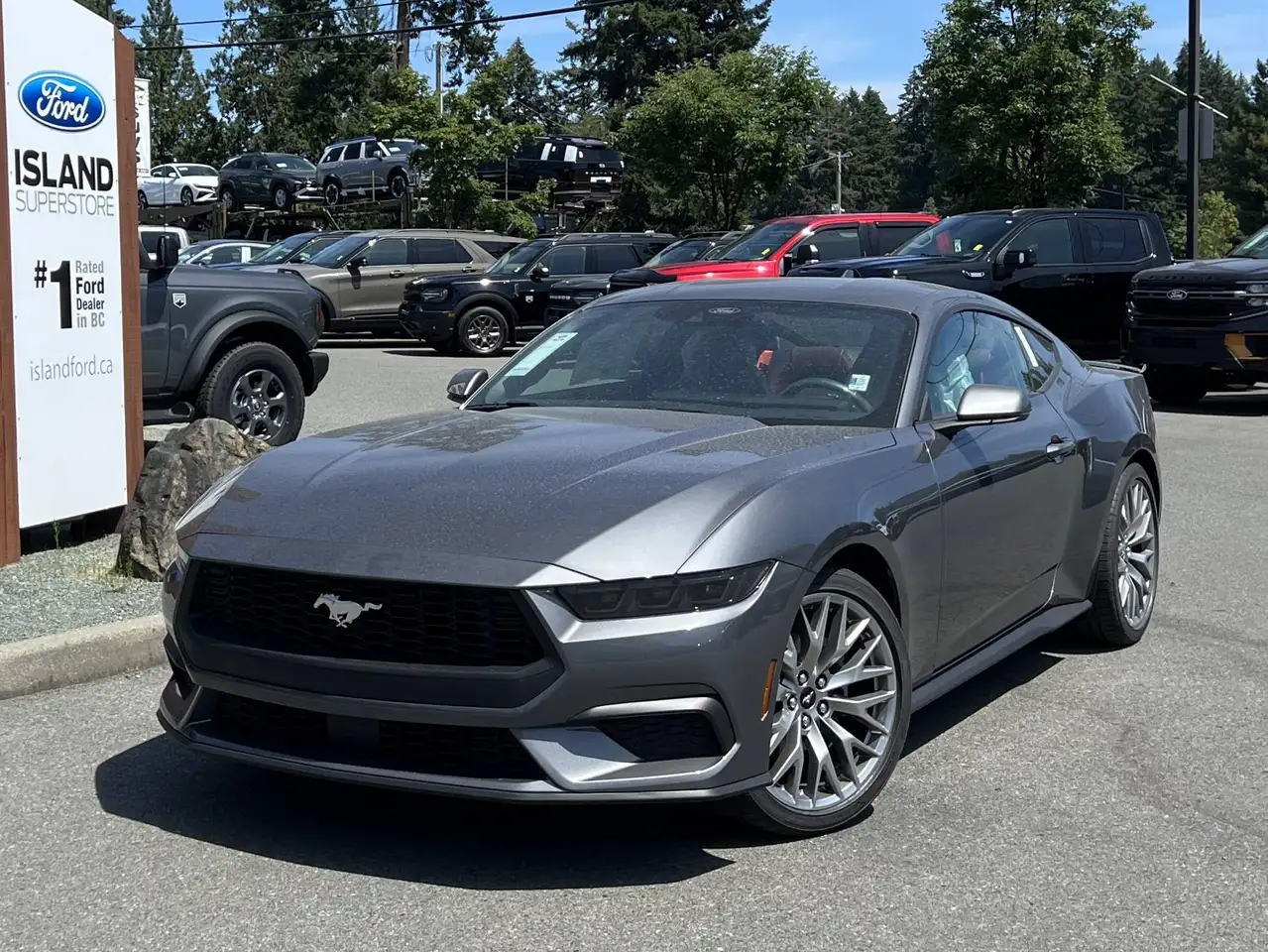 Ford Mustang fotografie Ford Mustang