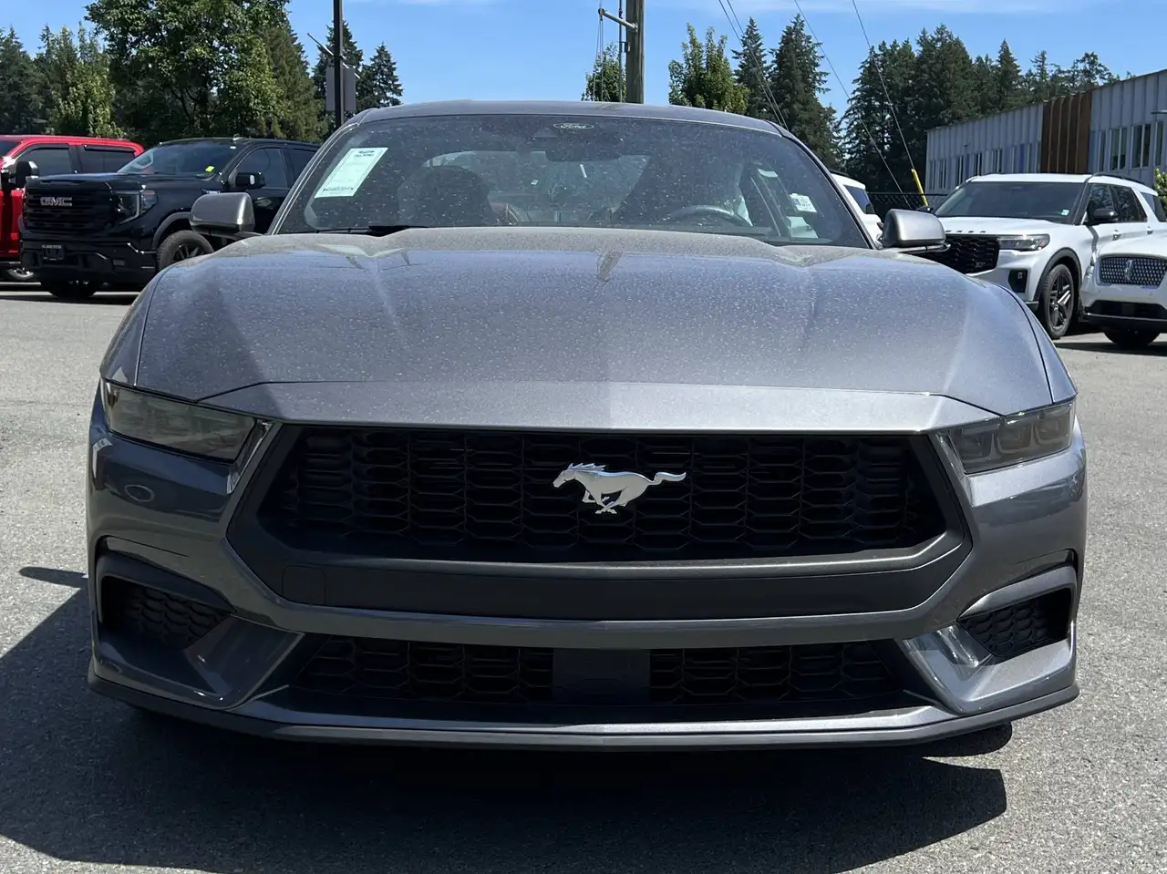 Ford Mustang fotografie Ford Mustang