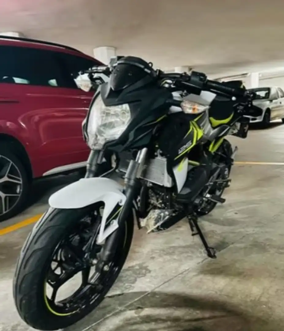 Kawasaki Z 125 z125 Verde - 1