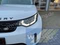 Land Rover Discovery HSE SD4 Autom. Leder 7-Sitzer Head-Up Luftfed. Weiß - thumbnail 7
