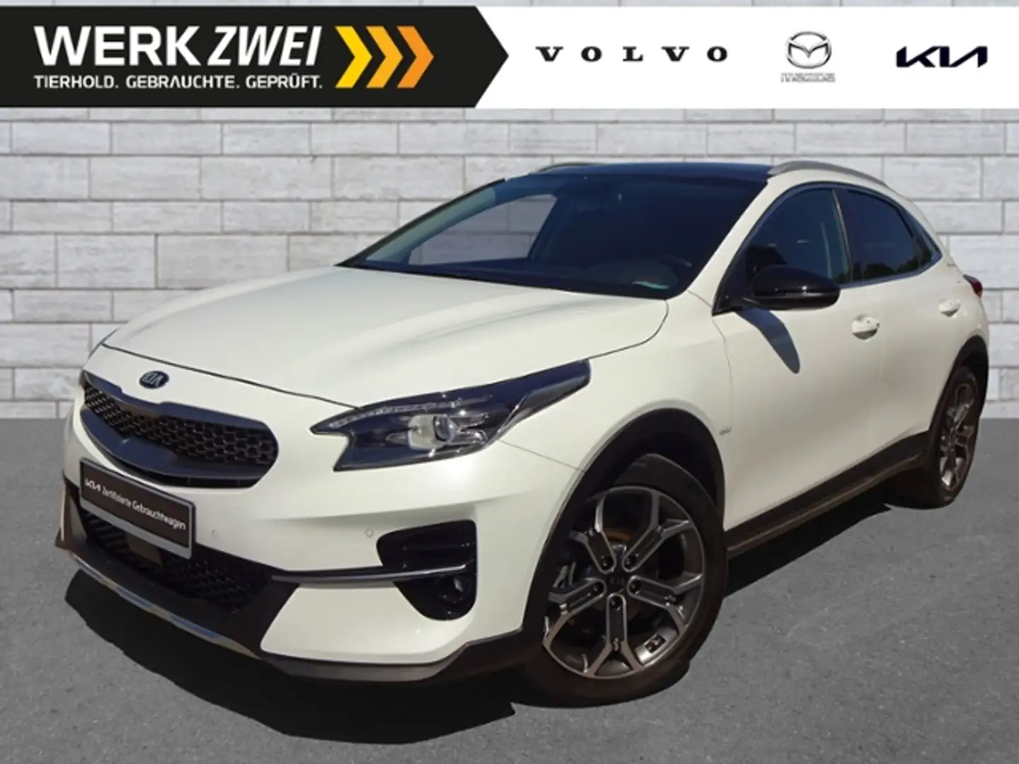 Kia XCeed 1,6 Platinum AT ACC PANO LEDER NAVI BLIS Weiß - 1