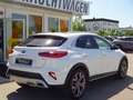 Kia XCeed 1,6 Platinum AT ACC PANO LEDER NAVI BLIS Weiß - thumbnail 7