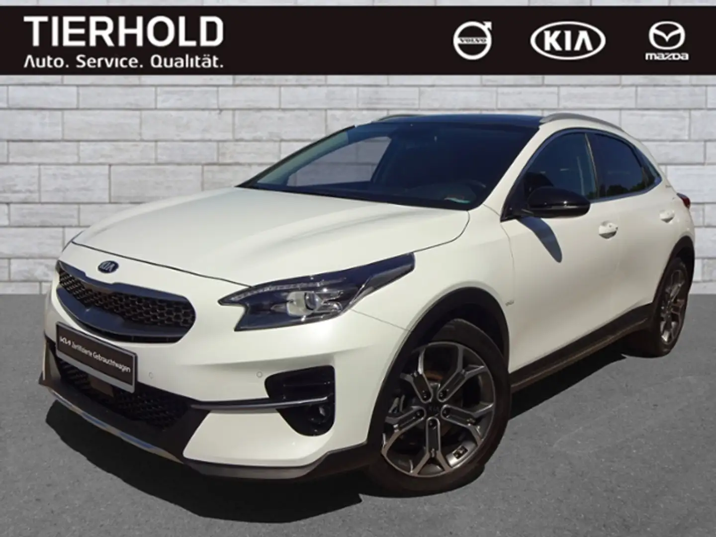 Kia XCeed 1,6 Platinum AT ACC PANO LEDER NAVI BLIS Weiß - 2