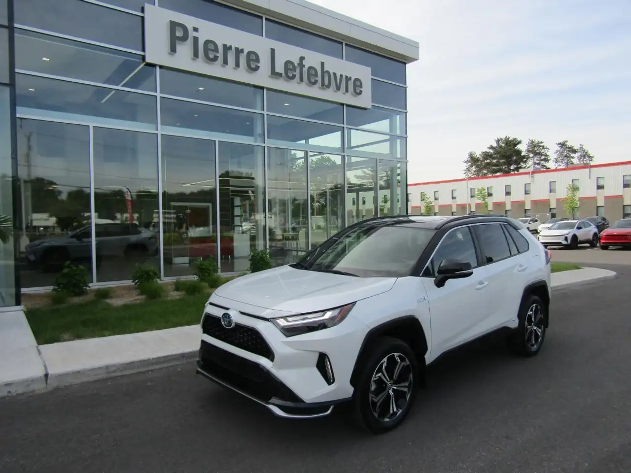 2024 Toyota RAV 4