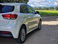 Kia Rio 1.4 ExecutiveLine | 4 CILINDER | 12mnd Garantie! | Blanc - thumbnail 15