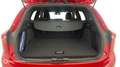 Ford Focus 1.5 EcoBlue 120ch ST-Line BVA - thumbnail 14