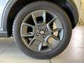 Suzuki Ignis 1.2 Hybrid Top 2WD Grigio - thumbnail 7