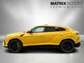 Lamborghini Urus URUS Pearl Capsule Carbon Garantie&Service NEU Jaune - thumbnail 6