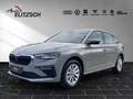 Skoda Scala Selection Grau - thumbnail 3