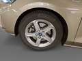 Ford Focus Traveller 1.0 EcoBoost ST-Line Business Grau - thumbnail 14