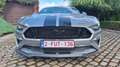 Ford Mustang Mustang 5.0 V8 GT-manuelle-fifty five year- pony b Zilver - thumbnail 3