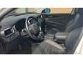 Kia Sorento Platinum Edition 4WD 2.2 CRDi EU6d-T 7-Sitzer,Auto Weiß - thumbnail 13