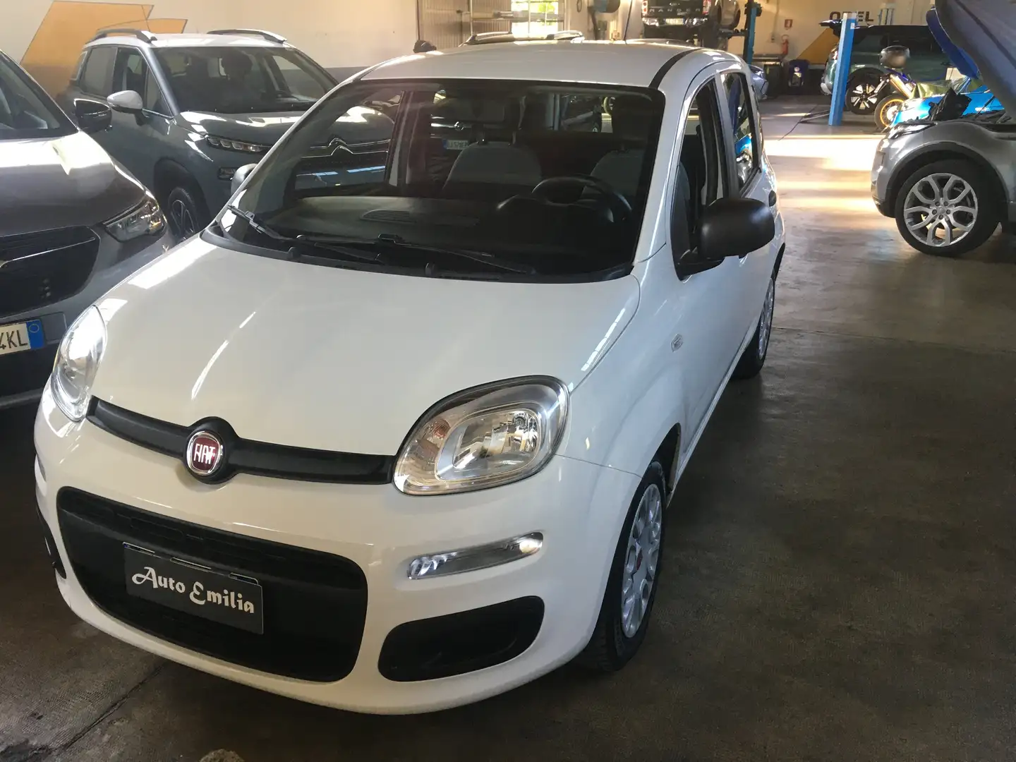 Fiat Panda Panda 1.0 firefly hybrid City Life s Wit - 1