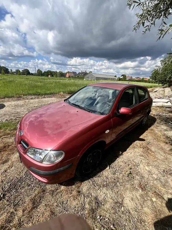 Nissan Almera 1.5i 16v Ambience, foto 8
