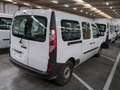 Renault Kangoo Blue dCi 95CV Express Maxi Furgone Ice Bianco - thumbnail 4