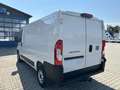 Fiat Ducato KASTENWAGEN 30 L2H1 120MT Blanc - thumbnail 8