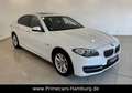 BMW 520 d xDrive|SCHIEBEDACH|XENON|KAMERA|LEDER|HiFi| Weiß - thumbnail 5