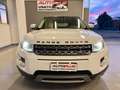 Land Rover Range Rover Evoque 5p 2.2td4 150cv Manuale 6m 4x4 Bianco - thumbnail 2