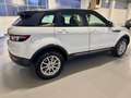 Land Rover Range Rover Evoque 5p 2.2td4 150cv Manuale 6m 4x4 Bianco - thumbnail 4