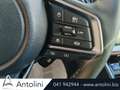 Subaru OUTBACK 2.5i Lineartronic Premium "NUOVA DA IMMATRICOLARE" Grigio - thumbnail 11