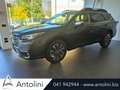 Subaru OUTBACK 2.5i Lineartronic Premium "NUOVA DA IMMATRICOLARE" Grigio - thumbnail 1