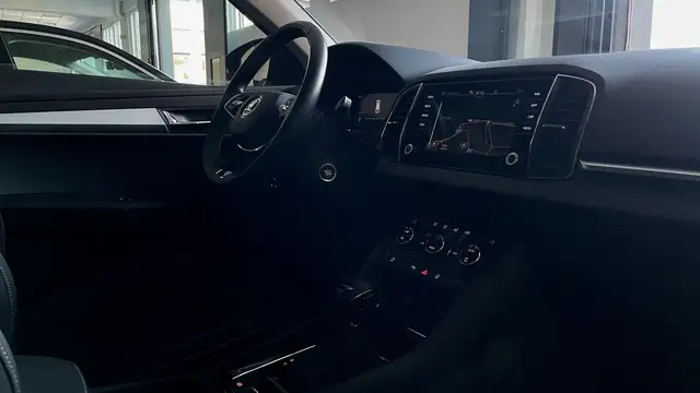Skoda Karoq view 20