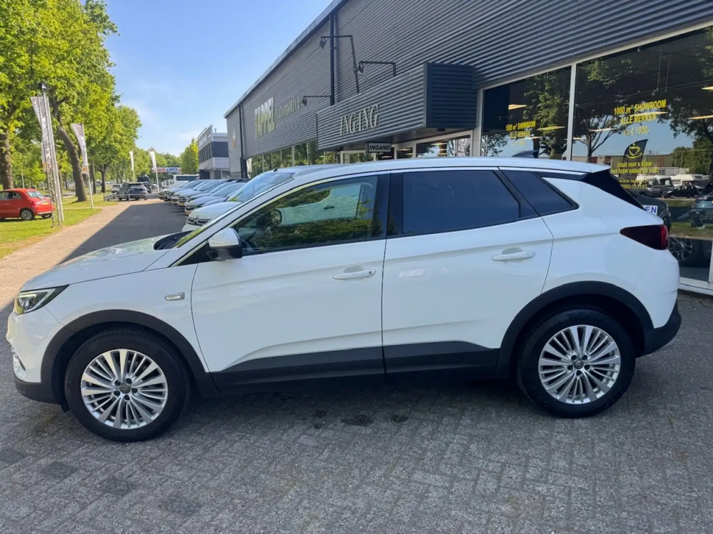 Opel Grandland X 1.2 Turbo business Executive /Carplay/Half leer Wit - 2