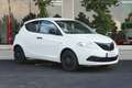 Lancia Ypsilon Ypsilon III 2015 1.2 Elefantino Blu Bianco - thumbnail 4