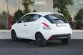 Lancia Ypsilon Ypsilon III 2015 1.2 Elefantino Blu Bianco - thumbnail 2