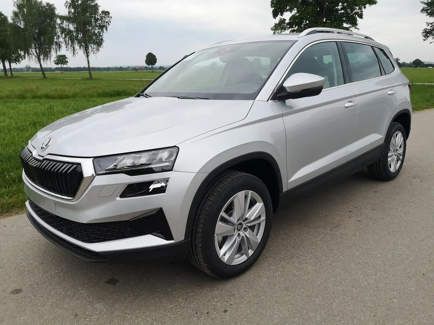 Skoda Karoq 2.0 TDI Selection DSG 4x4 GV5 AHK 17 Argent - 1