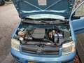 Fiat Panda Panda 1.2 Emotion Blauw - thumbnail 14