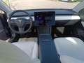 Tesla Model 3 Long Range Dual Motor AWD Blu/Azzurro - thumbnail 13