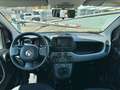 Fiat Panda firefly hybrid City Life s Blanc - thumbnail 9