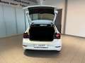 Volkswagen Polo Style 1,0 l TSI OPF 70 kW (95 PS) 7-Gang-Doppelkup Schwarz - thumbnail 13