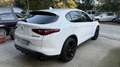 Alfa Romeo Stelvio 2.2 t Sprint Q4 190cv auto - thumbnail 5