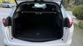 Alfa Romeo Stelvio 2.2 t Sprint Q4 190cv auto - thumbnail 15