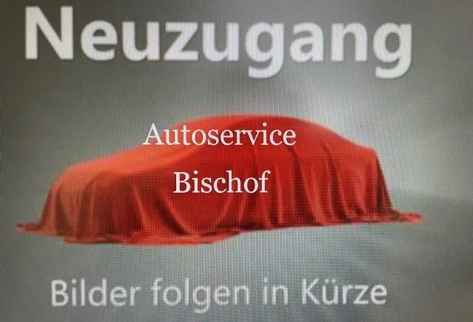 Skoda Octavia 2.0 TSI 195 kW RS Grigio - 1