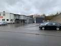Skoda Octavia 2.0 TSI 195 kW RS Grigio - thumbnail 3