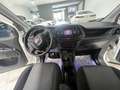 Fiat Doblo Doblò1.3 MJT S&S PC-TN Cargo Lounge Blanco - thumbnail 10