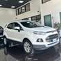 Ford EcoSport 1.5 tdci 95cv Weiß - thumbnail 3
