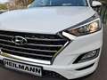 Hyundai TUCSON 1,6 Advantage Navi/Lenkrad/Sitzheizung/PDC/Klimaau Wit - thumbnail 5