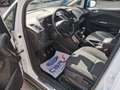 Ford C-Max 1.5 TDCi 95cv Start&Stop Titanium Bianco - thumbnail 6