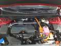 Kia Sorento 1.6 T-GDi HEV Drive 4x2 Rojo - thumbnail 16