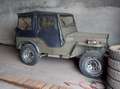Jeep Willys OVERLAND Green - thumbnail 14