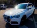Audi Q5 2.0 TDI 190 CV quattro S tronic S line plus Blanc - thumbnail 3