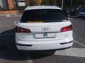 Audi Q5 2.0 TDI 190 CV quattro S tronic S line plus Blanc - thumbnail 6