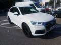 Audi Q5 2.0 TDI 190 CV quattro S tronic S line plus Blanc - thumbnail 1