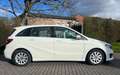 Mercedes-Benz B 180 Automaat Benzine Blanc - thumbnail 5