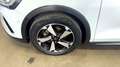 Ford Focus 1.0 Ecoboost MHEV 114kW Active - thumbnail 21