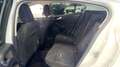 Ford Focus 1.0 Ecoboost MHEV 114kW Active - thumbnail 10